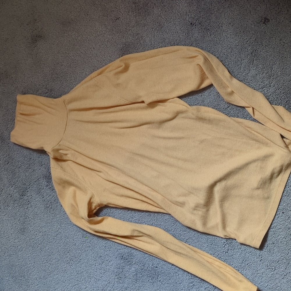 Size Medium Everlane pima cotton turtleneck